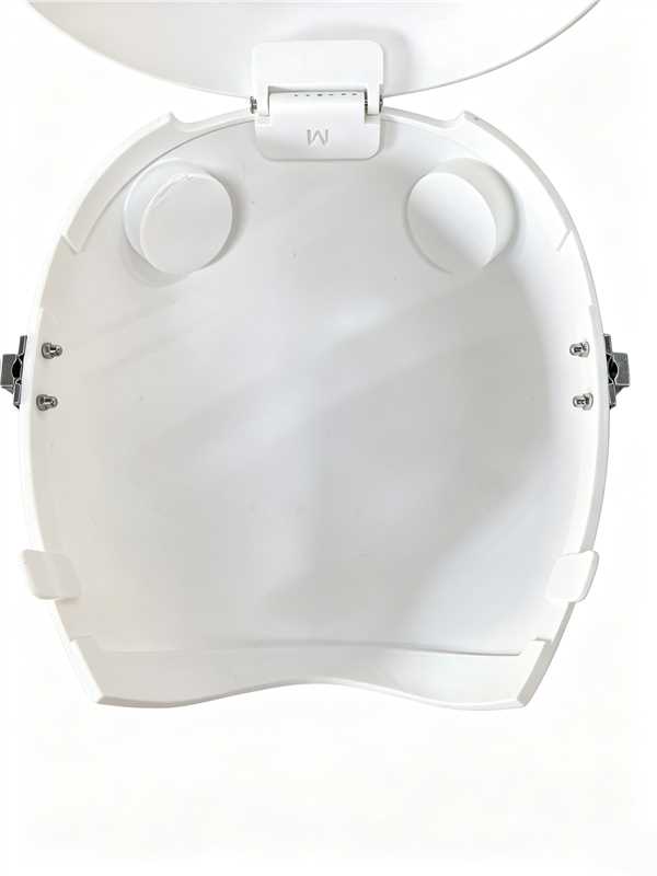 NEOGAN | "Sacred Disguiser" The White Mask with Detachable Ponytails & Locks