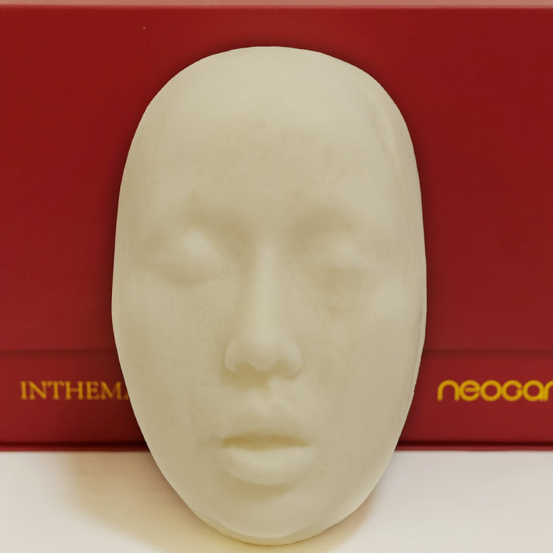 MoliFX | Hard Foam Head Form for Molly2 and Molly S Mask - InTheMask by Moli's