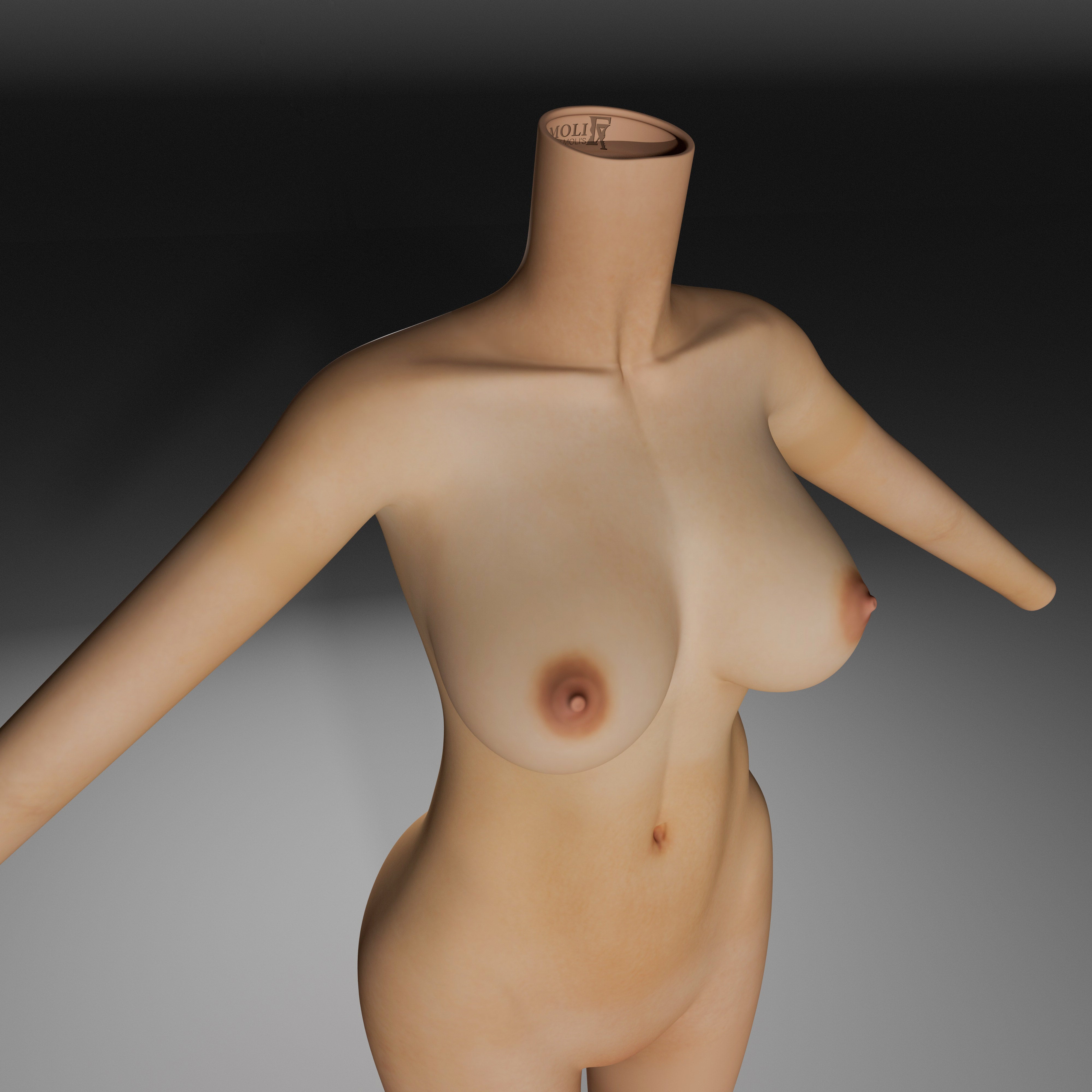 The Kim Bodysuit with Fully Padded Girdle by Luxentra